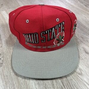 VTG Ohio State Buckeyes Snapback Hat College Signatures Red Gray Wool Cap
